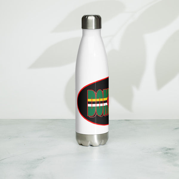 Stainless Steel Water Bottle (CN)