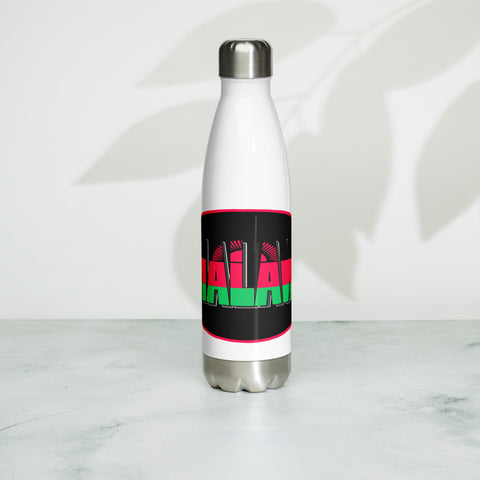 Stainless Steel Water Bottle (AF)