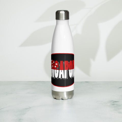 Stainless Steel Water Bottle (AS)