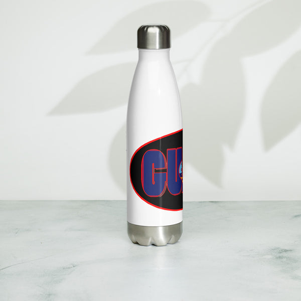 Stainless Steel Water Bottle (PI)
