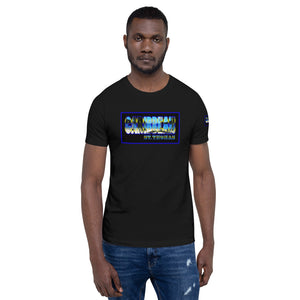 Short-Sleeve Unisex T-Shirt (INT)